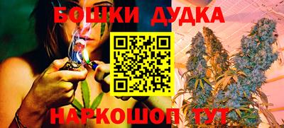 крисы Кунгур