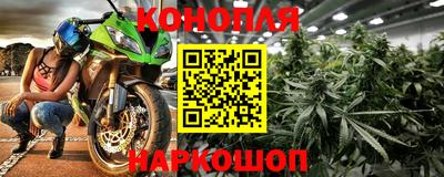 крисы Кунгур
